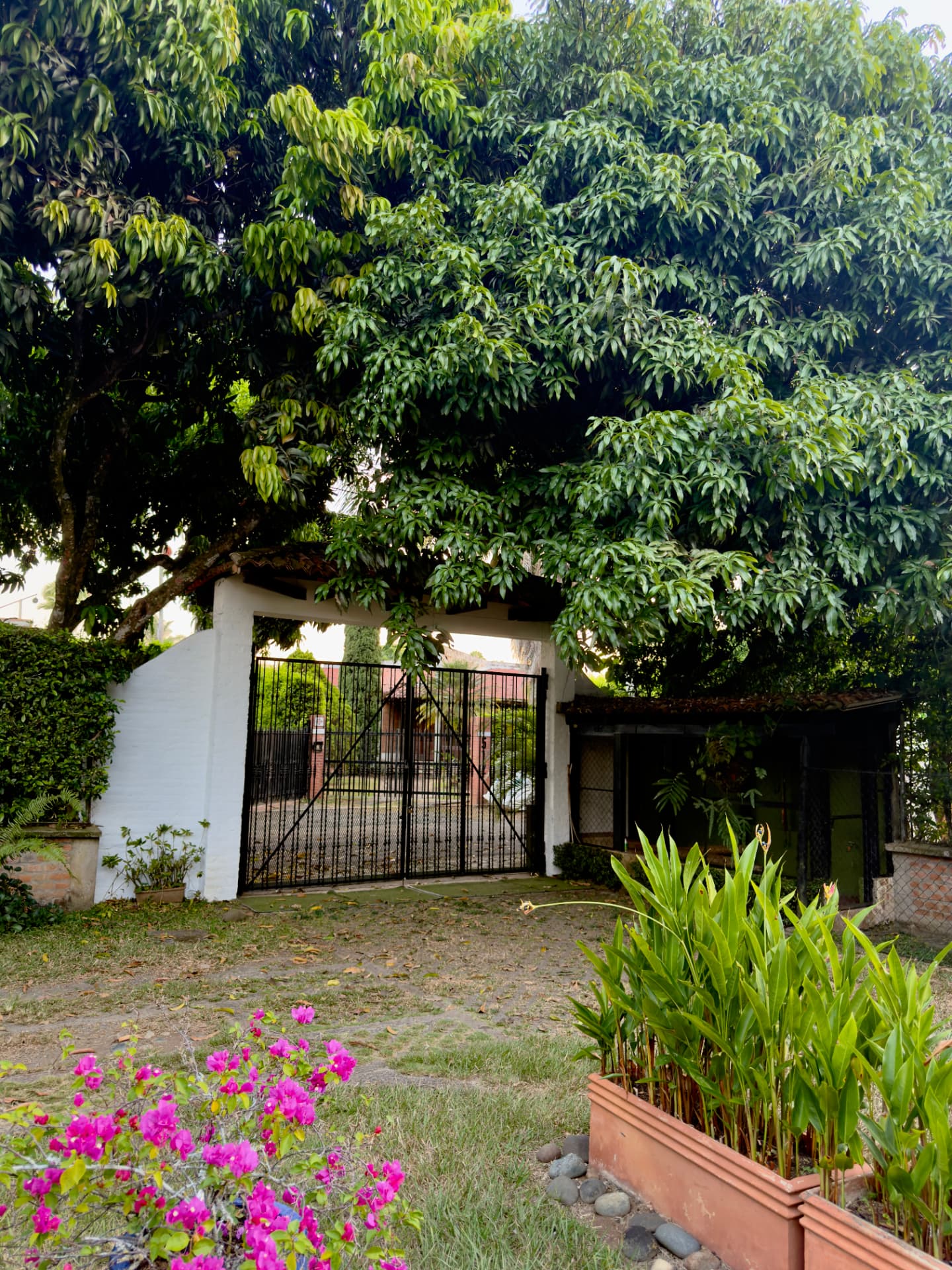 The entrance gate framed by greenery and pink bougainvillea