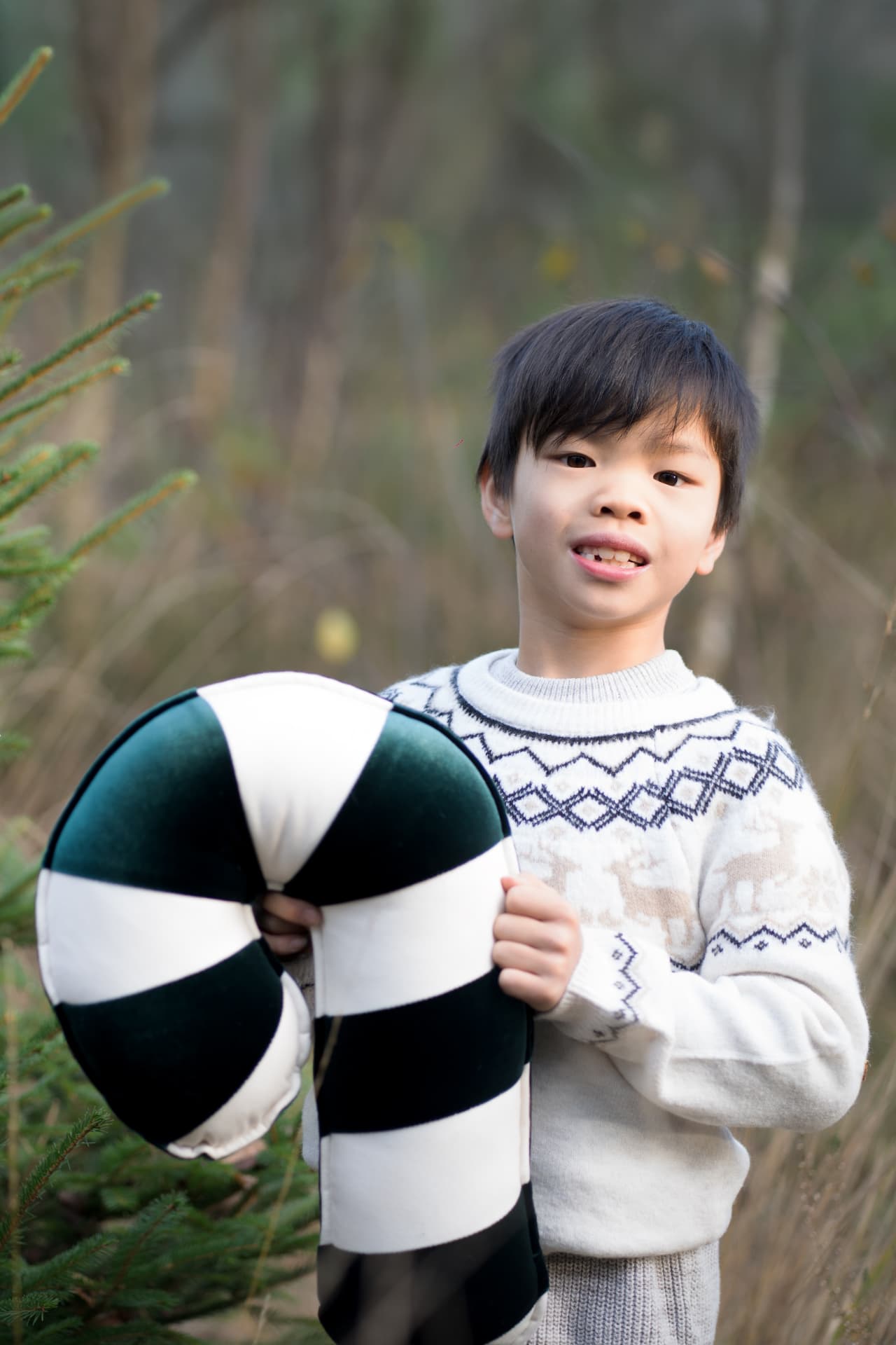Boy holding a striped Christmas cushion among the pines