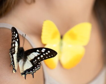 Close detail of two butterflies resting on a shoulder