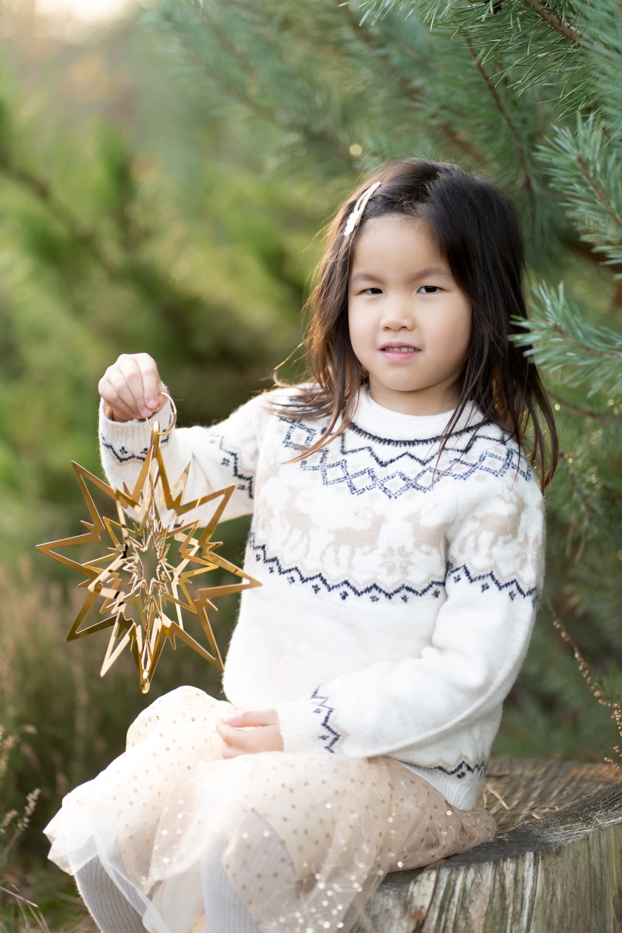 Christmas portrait with a golden star among the pines