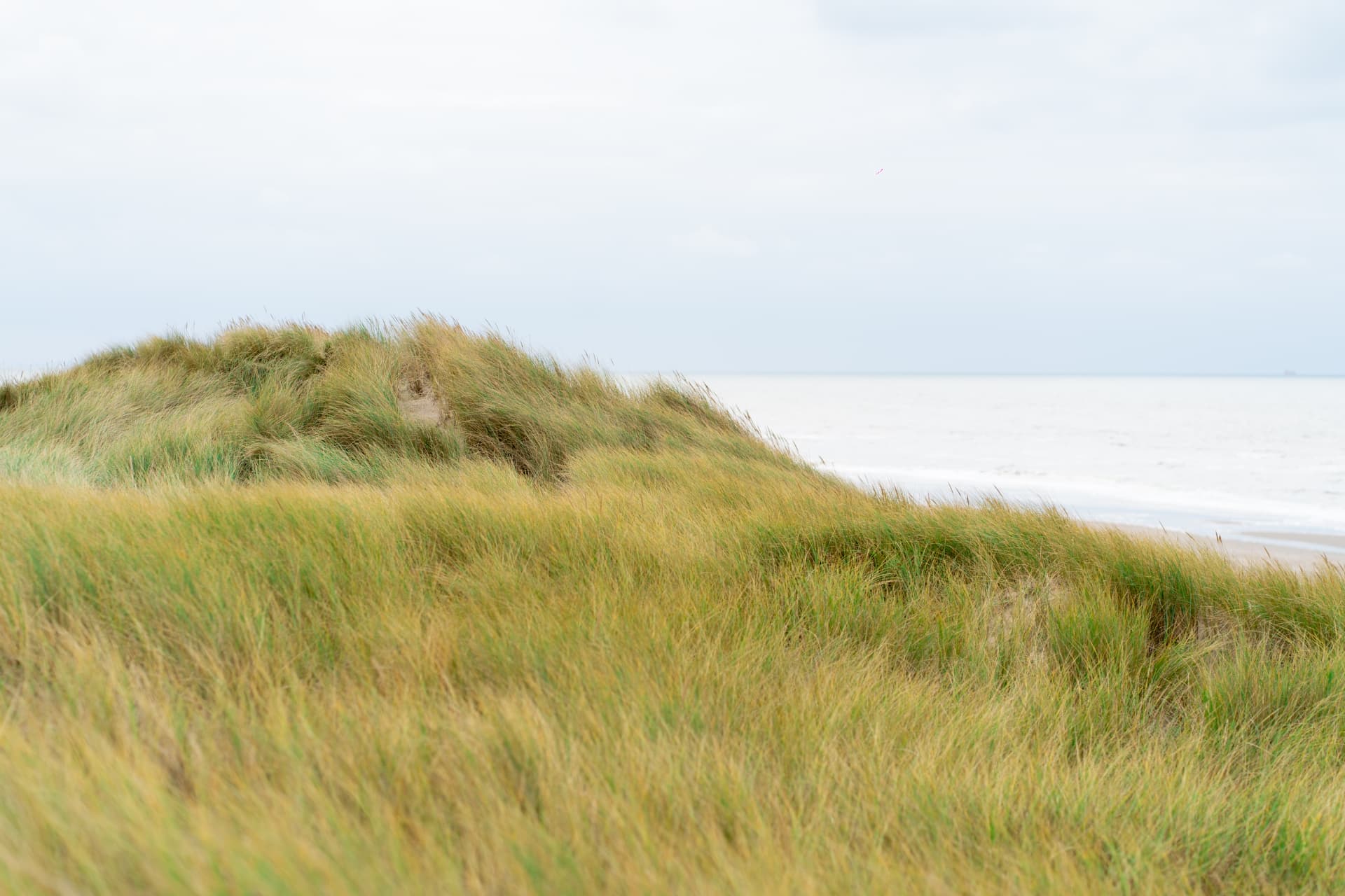 A quiet view of the dunes and sea