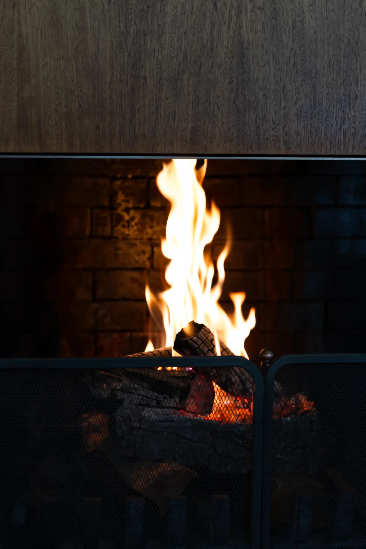 A fire burning behind the mesh screen of the fireplace
