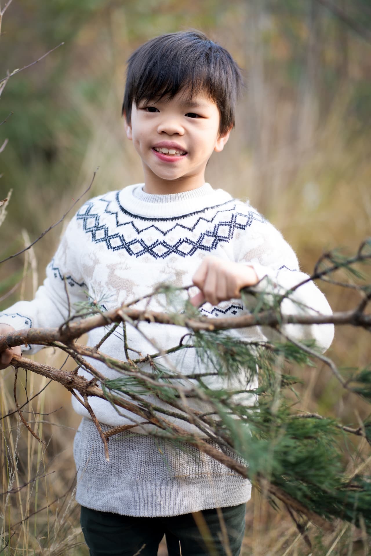 Boy gathering pine branches for Christmas