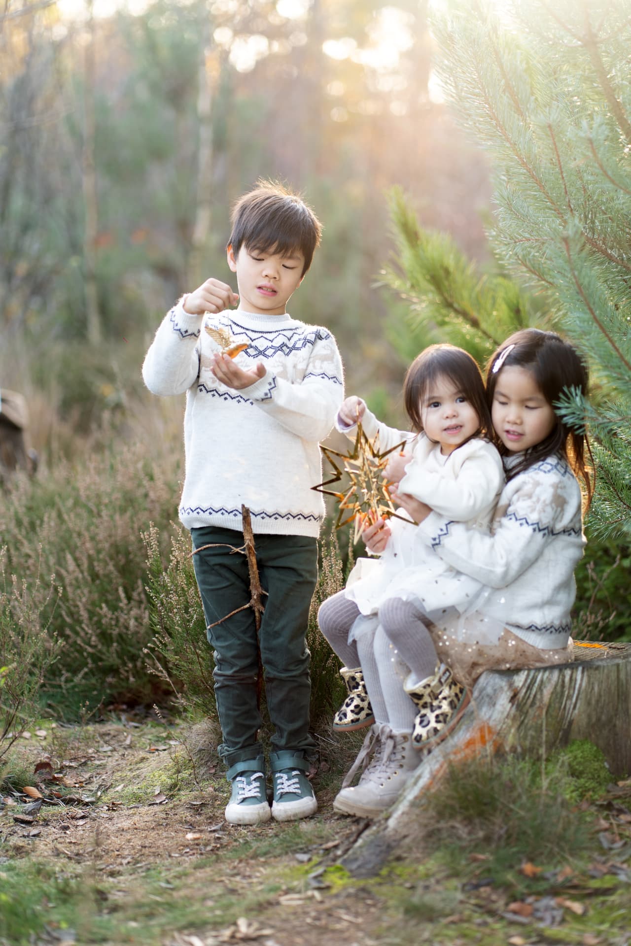 Three siblings together in the Christmas trees