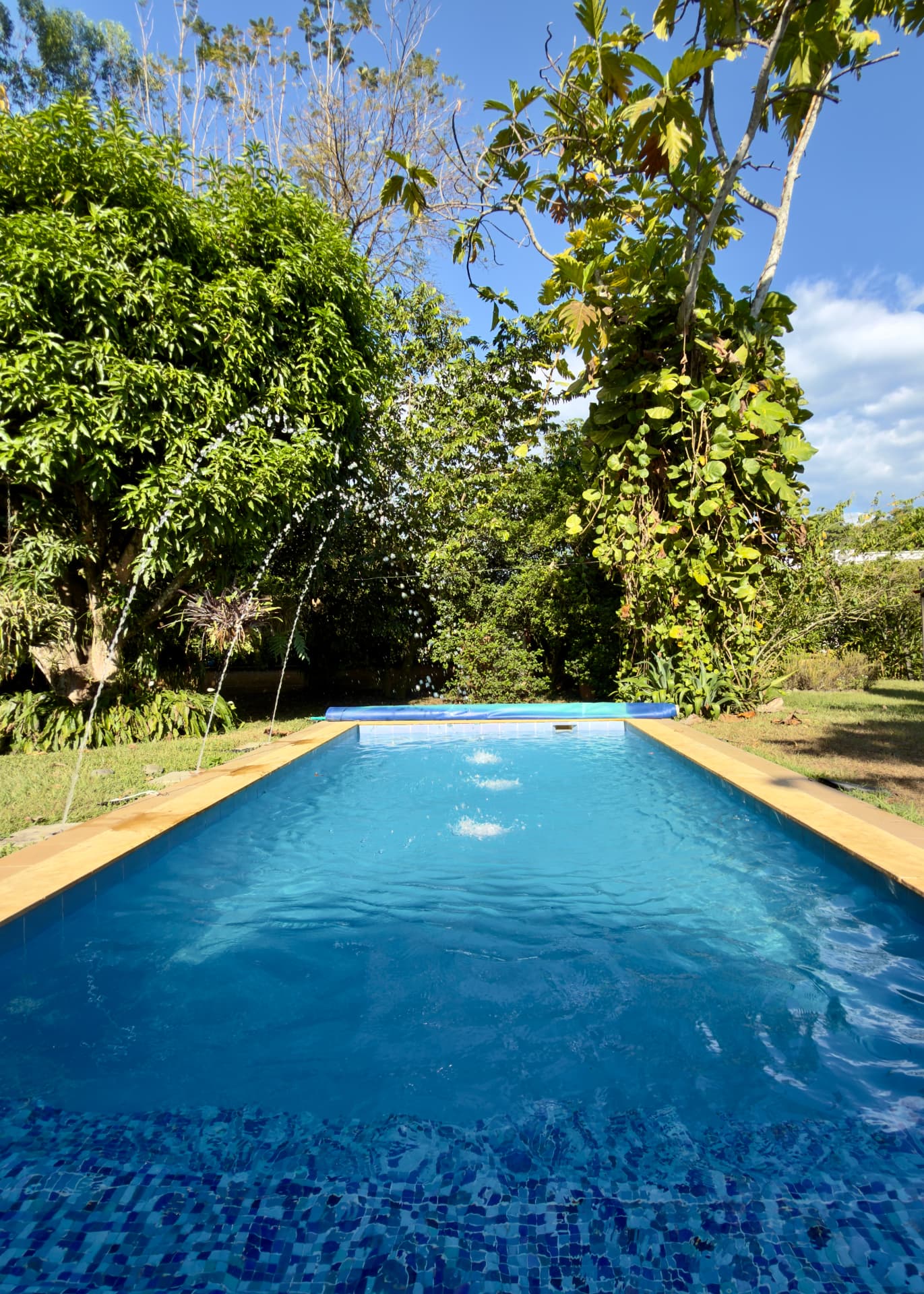 The pool with arcs of water against the garden