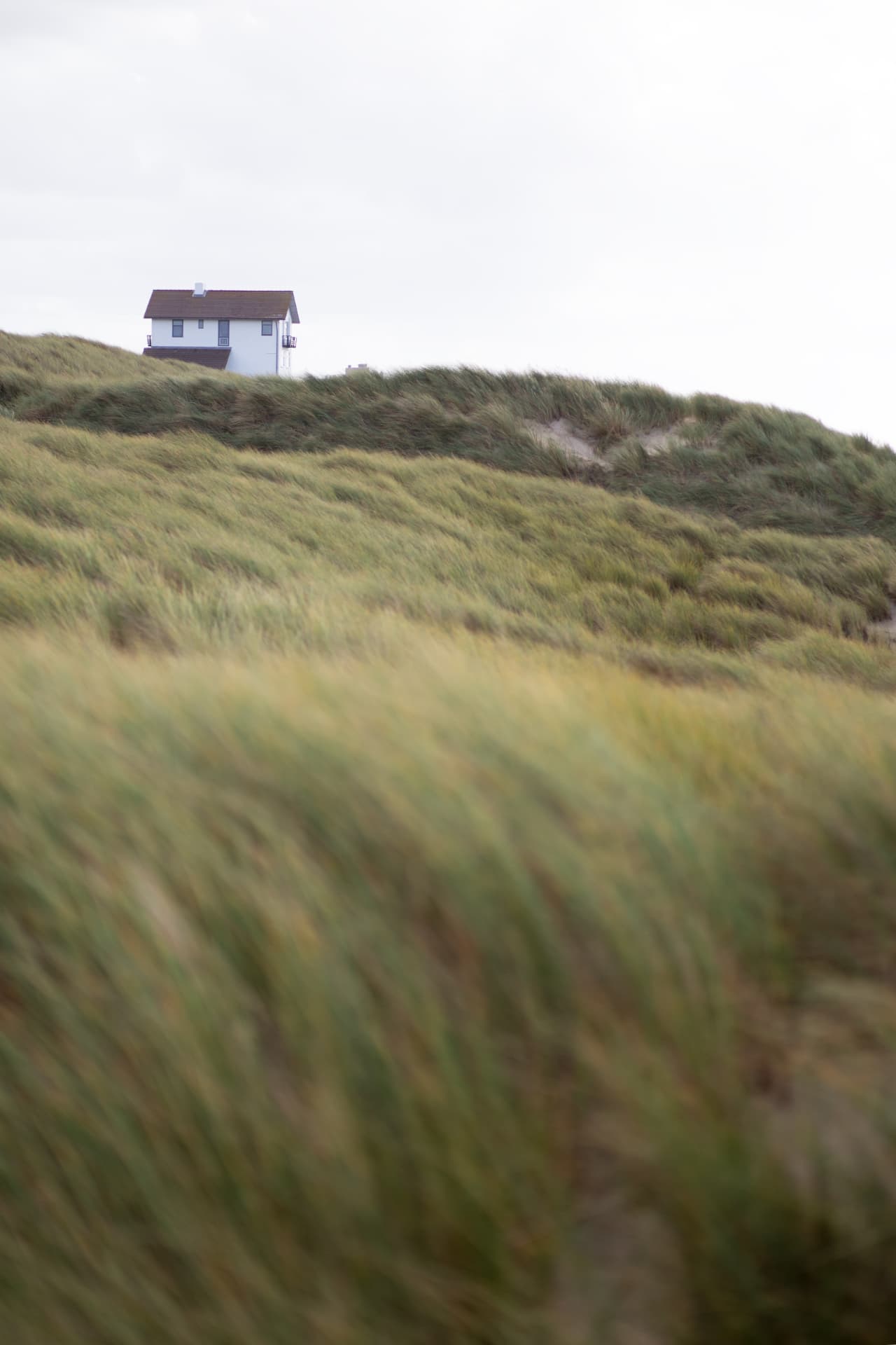 A small white house beyond windswept coastal dunes
